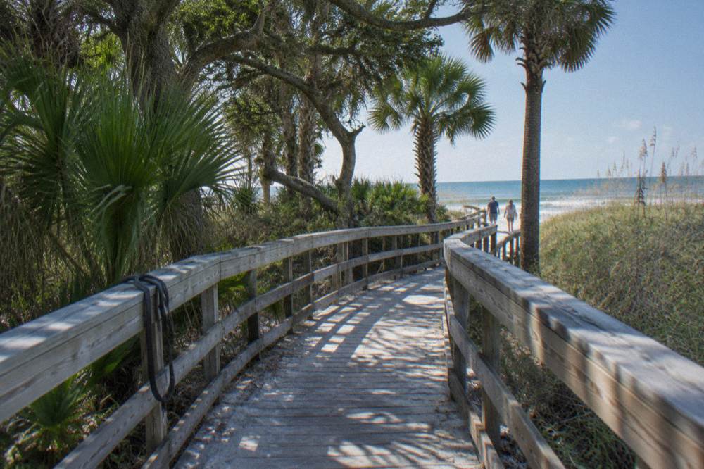 Boardwalk path curving through a green maritime hammock toward dunes